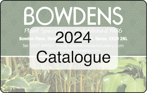 2024 Catalogue